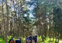 Με επιτυχία η πρώτη πεζοπορία «Ανακαλύπτοντας τον Υμηττό»