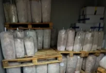 Περιφέρεια Αττικής: Κατασχέθηκαν 6,2 τόνοι ακατάλληλων κρεάτων στο Ίλιον