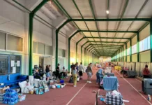 Δήμος Μεγαρέων: Διασώθηκαν 282 πυρόπληκτα ζώα μετά τη μεγάλη πυρκαγιά