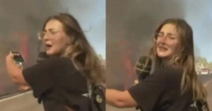 Πυρκαγιά σε δασική έκταση στην Σαλαμίνα