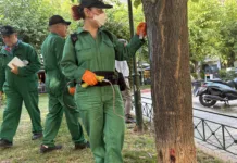 Δήμος Αθηναίων: Συνεχίζεται για τέταρτη χρονιά η προστασία των μουριών από το «Κινέζικο σκαθάρι»